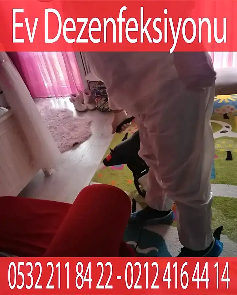 Ev virüs dezenfekte